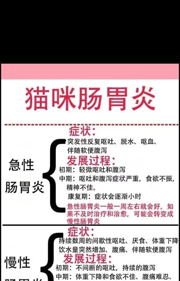 猫咪吐猫粮怎么办?肠胃健康与饮食调整全指南 猫咪吐猫粮怎么办?肠胃健康与饮食调整全指南