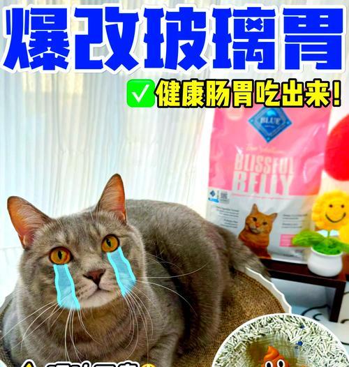 猫咪吐猫粮怎么办?肠胃健康与饮食调整全指南 猫咪吐猫粮怎么办?肠胃健康与饮食调整全指南