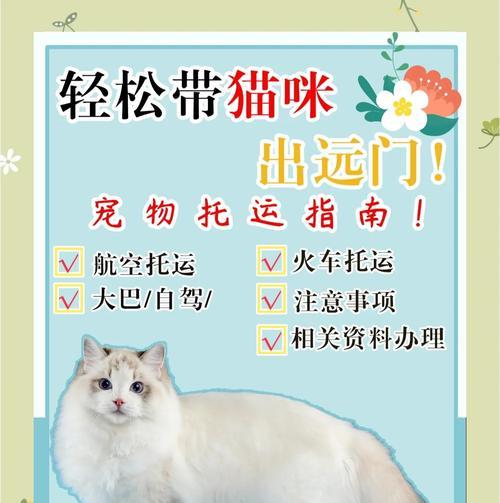 猫咪托运费用详解与交通工具选择指南,宠物出行必备攻略 猫咪托运费用详解与交通工具选择指南,宠物出行必备攻略