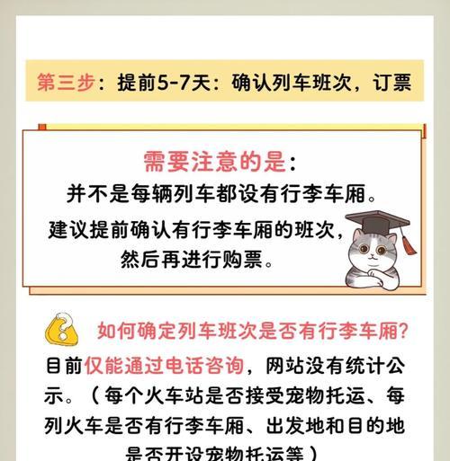 猫咪托运费用详解与交通工具选择指南,宠物出行必备攻略 猫咪托运费用详解与交通工具选择指南,宠物出行必备攻略