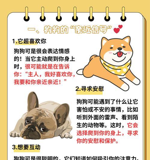 狗狗熟悉主人的关键过程：互动如何建立信任与依赖