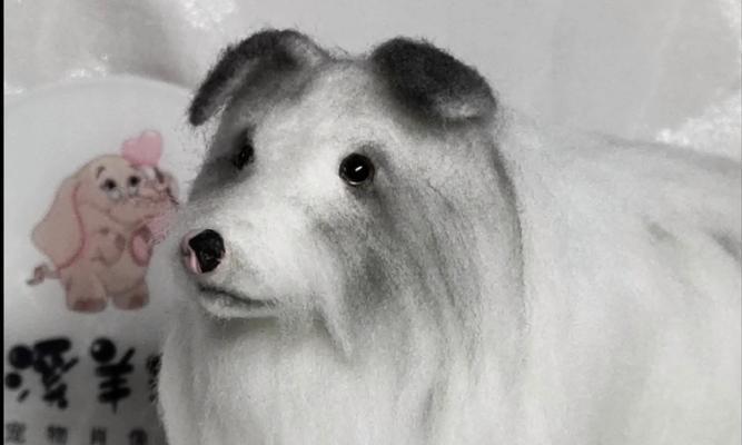 小狗长毛过程解析:各阶段发育特征与科学护理指南 小狗长毛过程解析:各阶段发育特征与科学护理指南