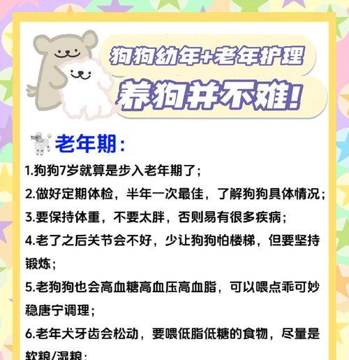 狗狗换粮后不排便怎么办？原因分析与护理措施指南