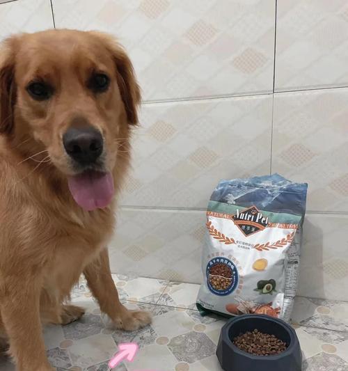 狗粮保质期管理指南:正确储存与使用方法 狗粮保质期管理指南:正确储存与使用方法