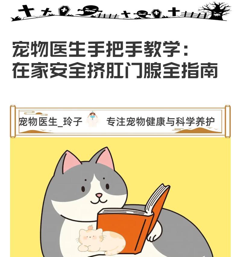 狗狗肛门腺清理指南：频率、方法与健康护理要点