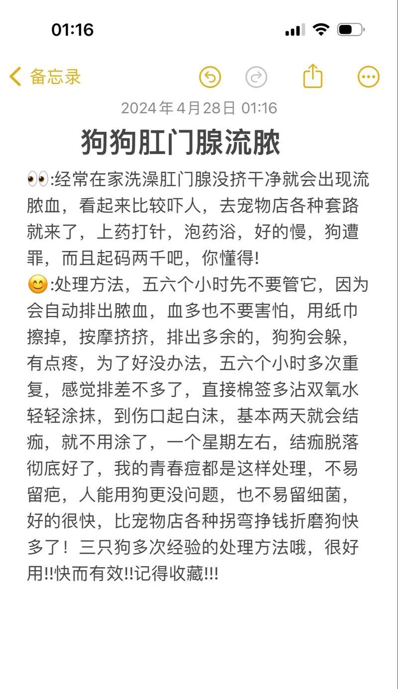 狗狗肛门腺清理指南：频率、方法与健康护理要点