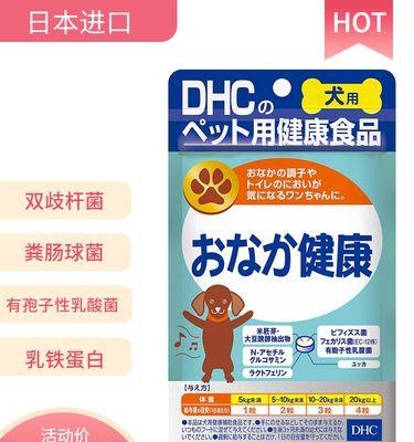 狗狗便秘吃什么蔬菜？15种助消化蔬菜促进肠道健康