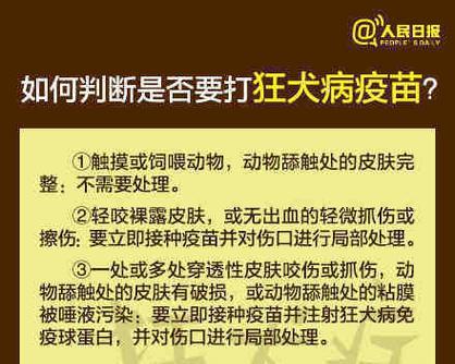 狂犬疫苗注射15项须知:接种要点与安全注意事项指南 狂犬疫苗注射15项须知:接种要点与安全注意事项指南
