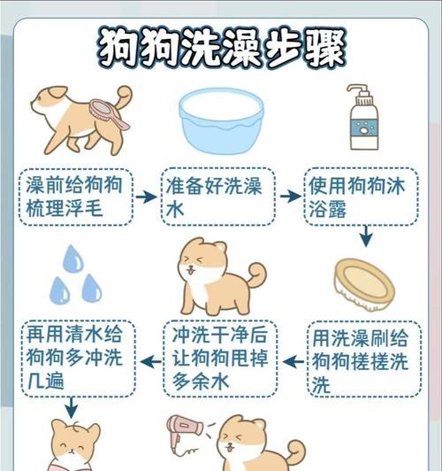 狗狗洗澡频率与正确护理指南，保持爱犬清洁健康