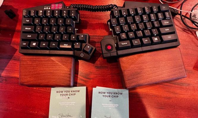 幼犬植入芯片流程详解与必备证件指南