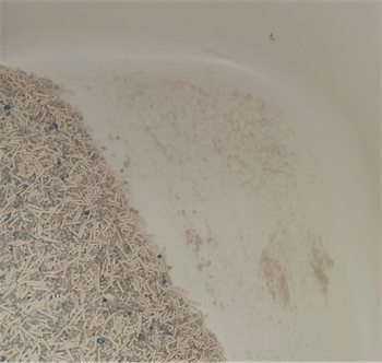 混合猫砂测评:结团除臭表现如何?高性价比选购指南 混合猫砂测评:结团除臭表现如何?高性价比选购指南