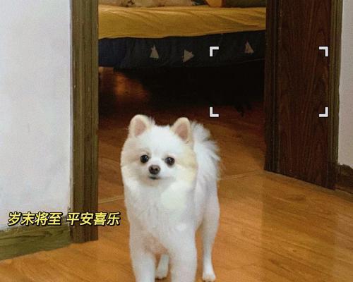 剪发频率解析：季节变化与形象维护的关键因素