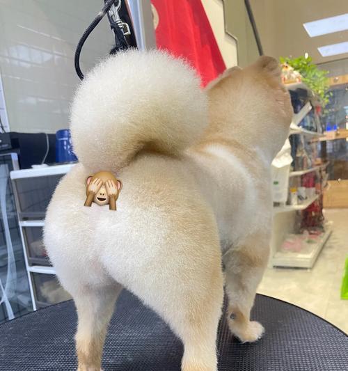 剪发频率解析：季节变化与形象维护的关键因素