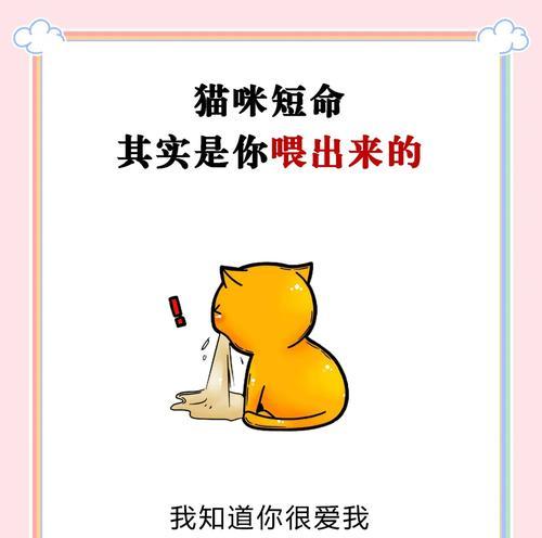 猫咪可食用肉类全解析:安全选择与营养搭配指南 猫咪可食用肉类全解析:安全选择与营养搭配指南