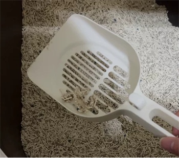 混合猫砂深度测评：解析实际使用中的优势与常见问题