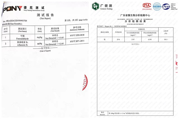 混合猫砂深度测评：解析实际使用中的优势与常见问题