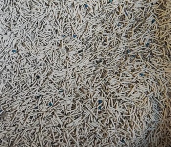 混合猫砂深度测评：解析实际使用中的优势与常见问题