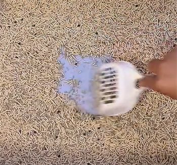 谷物混合猫砂测评:结团除臭表现优秀,但耗砂快性价比如何? 谷物混合猫砂测评:结团除臭表现优秀,但耗砂快性价比如何?