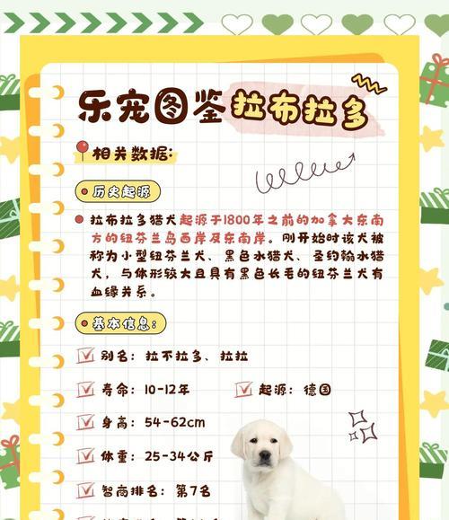 拉布拉多犬起源与6大品类分支全解析：颜色与功能详解