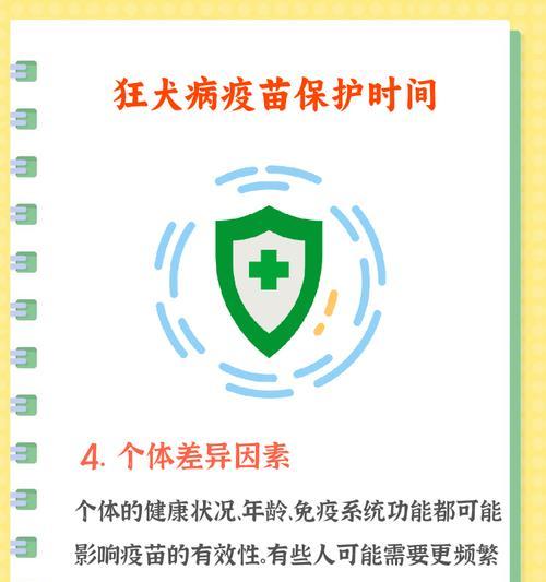 狗狗打完狂犬疫苗后,洗澡的最佳时机与科学护理指南 狗狗打完狂犬疫苗后,洗澡的最佳时机与科学护理指南