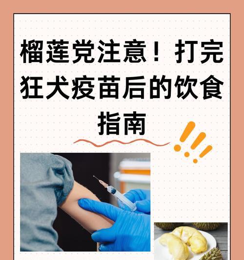 狗狗打完狂犬疫苗后,洗澡的最佳时机与科学护理指南 狗狗打完狂犬疫苗后,洗澡的最佳时机与科学护理指南