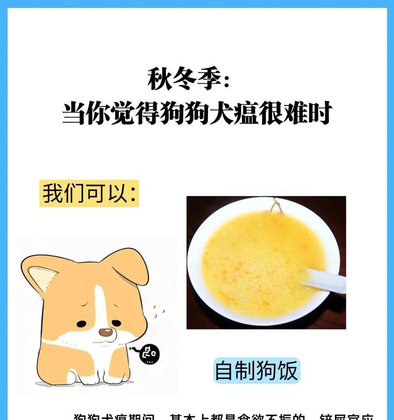 犬瘟潜伏期全解析,科学防控守护爱犬健康 犬瘟潜伏期全解析,科学防控守护爱犬健康