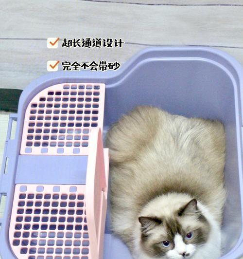 如何选择适合纸砂的猫砂盆？关键要点与选购指南