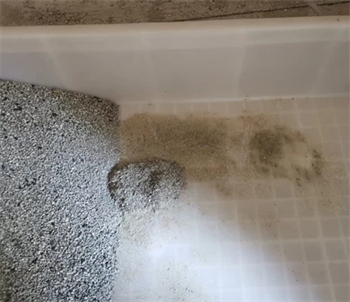 钠基矿石猫砂使用测评:粉尘少结团紧,但除臭效果与性价比成短板 钠基矿石猫砂使用测评:粉尘少结团紧,但除臭效果与性价比成短板