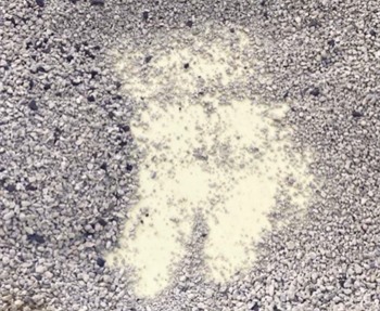 钠基矿石猫砂使用测评:粉尘少结团紧,但除臭效果与性价比成短板 钠基矿石猫砂使用测评:粉尘少结团紧,但除臭效果与性价比成短板