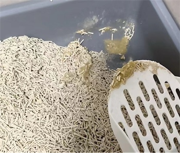 豆腐猫砂评测:结团速度与性价比实测分析 豆腐猫砂评测:结团速度与性价比实测分析