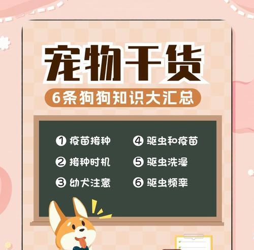 幼犬驱虫的完整流程与关键注意事项指南 幼犬驱虫的完整流程与关键注意事项指南