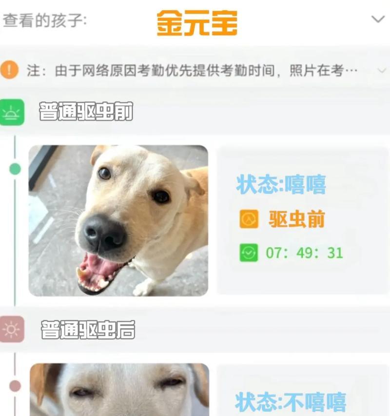 幼犬驱虫的完整流程与关键注意事项指南 幼犬驱虫的完整流程与关键注意事项指南