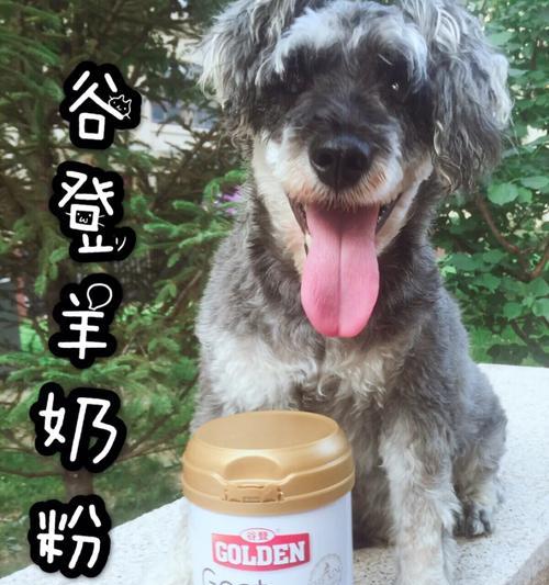 一月龄幼犬奶粉喂养指南,科学选择确保全面营养 一月龄幼犬奶粉喂养指南,科学选择确保全面营养