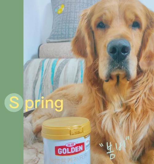 一月龄幼犬奶粉喂养指南,科学选择确保全面营养 一月龄幼犬奶粉喂养指南,科学选择确保全面营养