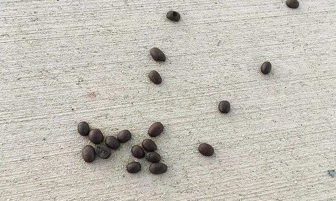 物体变形原因与机制解析:从坚硬到柔软的科学奥秘 物体变形原因与机制解析:从坚硬到柔软的科学奥秘