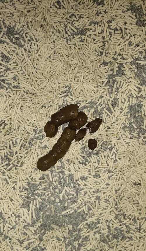 物体变形原因与机制解析:从坚硬到柔软的科学奥秘 物体变形原因与机制解析:从坚硬到柔软的科学奥秘