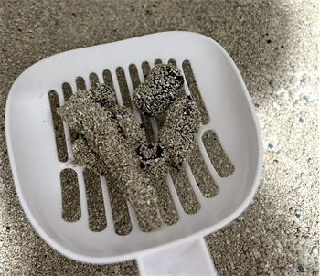 矿砂猫砂实测:低粉尘与结团黏底问题如何权衡? 矿砂猫砂实测:低粉尘与结团黏底问题如何权衡?