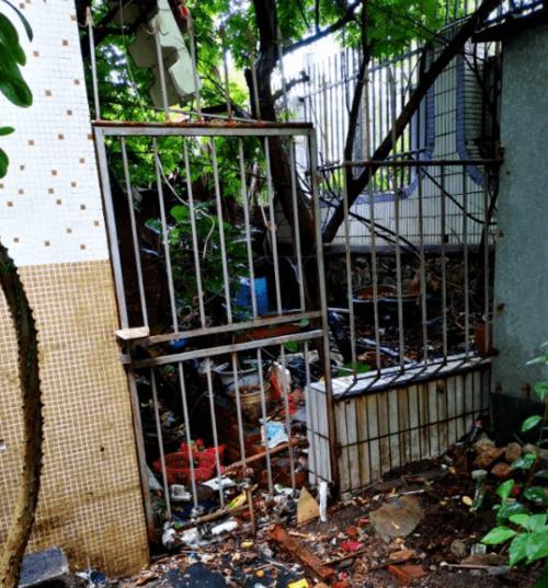 珠海狗市场地理位置与规模详解,探索特色宠物交易中心 珠海狗市场地理位置与规模详解,探索特色宠物交易中心