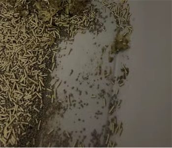 混合猫砂升级款实测对比：除臭结团效果如何？选购要点解析