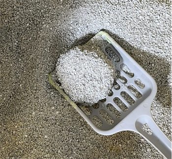 矿砂测评：几乎无尘结团硬，但除臭粘底需注意