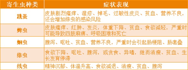 猫咪驱虫药选购指南:高性价比产品真的值得入手吗? 猫咪驱虫药选购指南:高性价比产品真的值得入手吗?