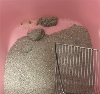 矿砂测评：几乎无尘结团硬，但除臭粘底需注意