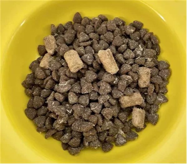 这款高蛋白猫粮实测怎么样?原料与营养分析告诉你真相 这款高蛋白猫粮实测怎么样?原料与营养分析告诉你真相