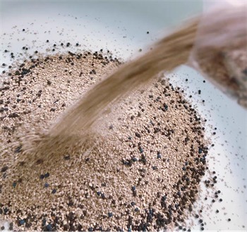 幼猫专用启蒙猫砂深度测评：脚感、粉尘与除臭表现究竟如何？