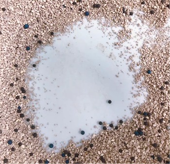 幼猫专用启蒙猫砂深度测评：脚感、粉尘与除臭表现究竟如何？