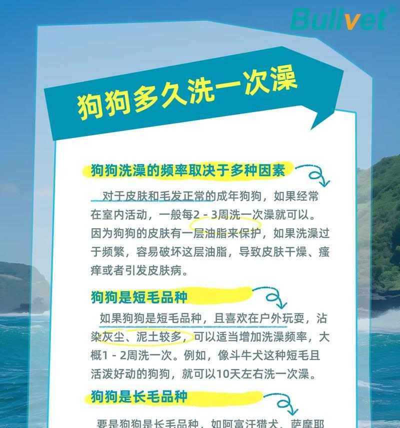 狗狗洗澡最佳时机指南：如何让爱犬健康舒适