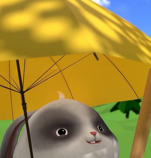 熊猫兔饲养全攻略，从新手到专业养兔达人的完整指南