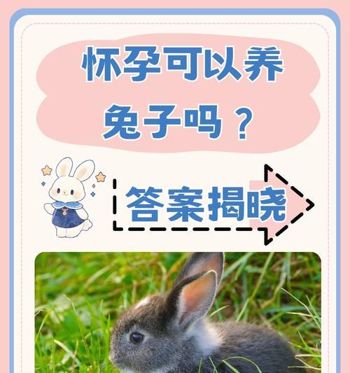 熊猫兔饲养全攻略，从新手到专业养兔达人的完整指南