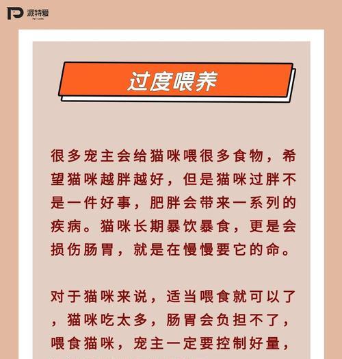 幼猫洗澡全攻略:正确方法与频率指南 幼猫洗澡全攻略:正确方法与频率指南