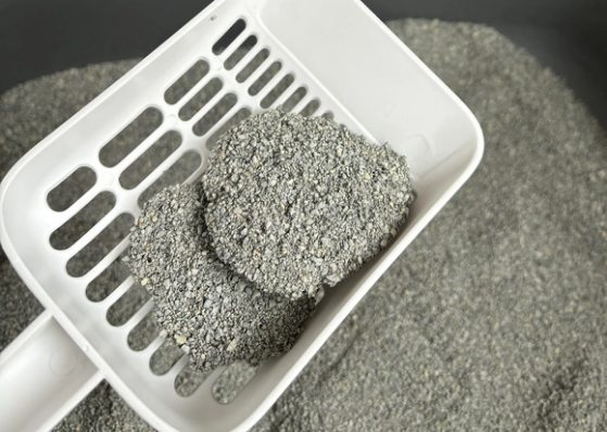 清香型矿砂推荐：结团好且不粘底